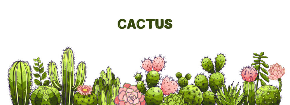 Poster hand drawn lettering, cacti and succulents. Vector composition in scketch style on isolated white background.
