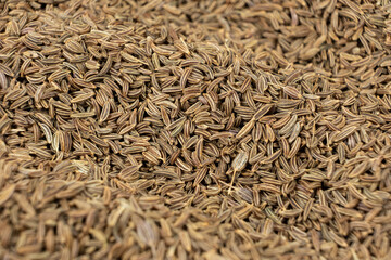 Whole cumin seeds Carum carvi L. macro