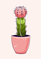 gymnocalycium pink succulent cactus in cute pot illustration vector on isolated white background.