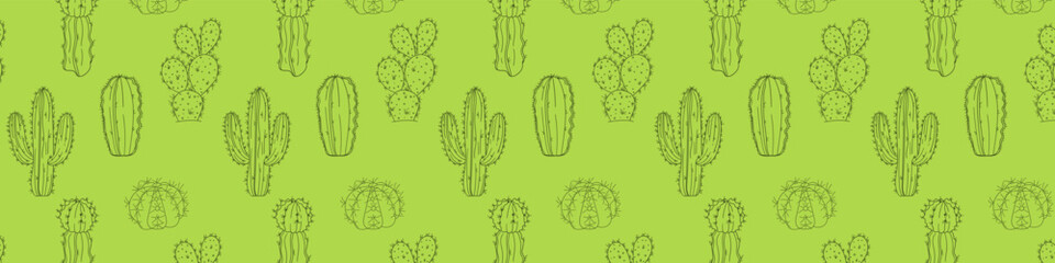 Seamless vector Ornament pattern. hand drawn cactus and succulents outline on green background