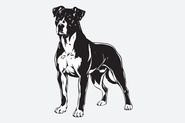 Bull Terrier Black and White Vector