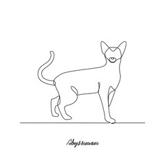 One continuous line drawing of Abyssinian Cat vector illustration. Various of Cat theme design concept with simple linear style vector. Cat are domesticated mammal, loyalty and companionship to human.