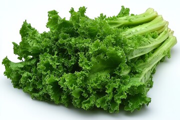 Fototapeta premium Vibrant green lettuce with crisp leaves displayed on a plain background perfect for fresh salads or healthy meals