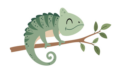 Cute chameleon clipart, isolated cartoon tropical, savanna character. Hand drawn vector illustration in flat style © JulzaArt