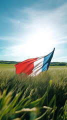 A fluttering French flag on a grassy meadow under a clear blue sky, sunlight gently illuminating the fabric.