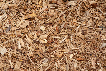 Wood chips on the ground