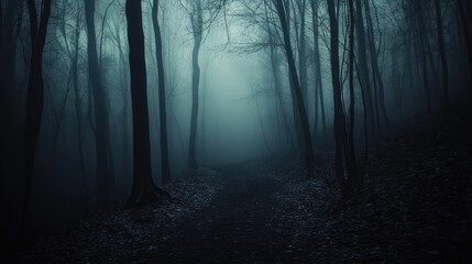 Fototapeta premium A dark forest trail covered in mist, with eerie tree silhouettes fading in the background