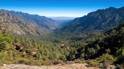 Naklejka premium Mountain valley vista, pine forest, and rugged terrain