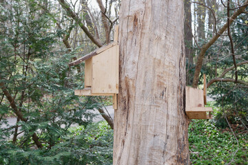 Two feeder birdhouses are hanging on a tree in Potzleinsdorfer Schlosspark in Vienna