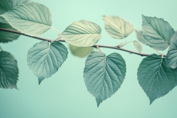 Elegant green leaves on a branch against a soft mint background create a calming natural aesthetic