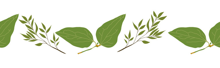 Leaves border on a white background. Hand-drawn illustration. Perfect for spring and summer.