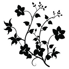 Orchid flower silhouette Black shadow of orchid Black shadow of orchid Vector On white background