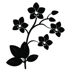 Orchid flower silhouette Black shadow of orchid Black shadow of orchid Vector On white background