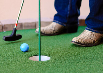 Snake Skin Putt Putt