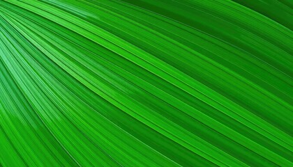 Vibrant green leaf veins