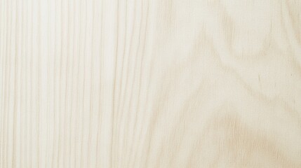 Obraz premium Birch Wood Texture with Fine Straight Grain and Matte Surface