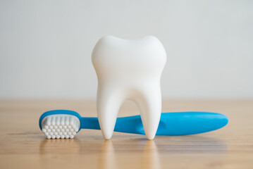 Cute white healthy tooth and blue dental toothbrush toy on wooden table with white wall background....