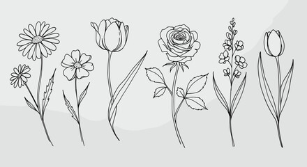 Line art floral drawings of various flowers.