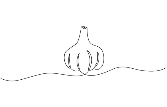 Single line draw design vector graphic illustration, Continuous one line drawing whole healthy organic garlic for plantation logo identity. Fresh cuisine seasoning concept for vegetable icon.
