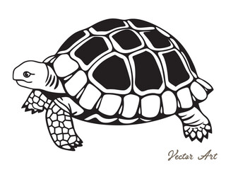 Sea turtle vector design, Sea turtle black silhouette on white background