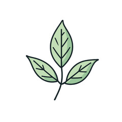 The image features a stylized illustration of a branch with two large leaves and a smaller leaf. The leaves are depicted in a soft green color with a simple line design, emphasizing their natural shap