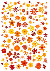 Flower Spring Illustration, Blumen Frühling und Sommer Illustration. Set of floral elements. Exotic hand drawn flowers. 