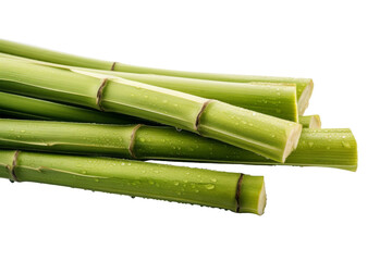 Fototapeta premium Fresh Sugarcane Cuttings
