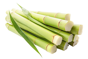 Fresh Sugarcane Cuttings