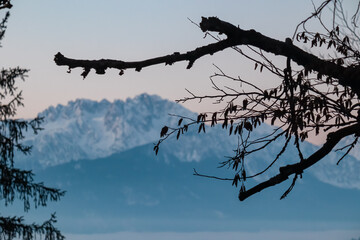 Snow-capped Carnic Alps mountain range rises majestically framed by bare tree branches. Serene mist blankets valley below, creating tranquil alpine atmosphere in remote Austrian Alps in Carinthia