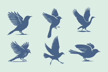Bird Silhouettes in Various Poses for Wildlife and Ornithology Illustrations