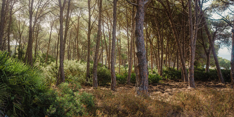 Landscape of Sardegna