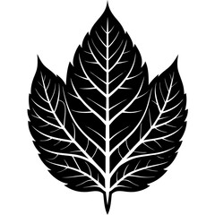 Fototapeta premium Leaf Silhouette Vector