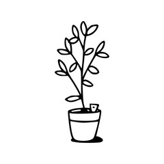 drawing of houseplant in pot