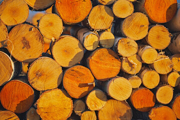 Firewood from logs stacked from birch trees, close-up