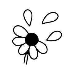 flower losing petals sketch