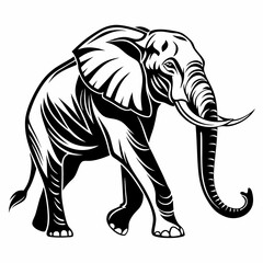 Obraz premium elegant elephant silhouette in black and white