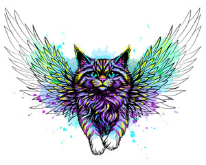 Abstract, color portrait of a cat with wings in watercolor style on a white background.