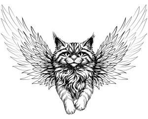 Graphic portrait of a cat with wings in sketch style on a white background.