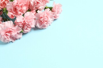 Beautiful bouquet of pink carnations on a colored background
