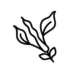 Obraz premium Kelp icon in outline style on white background