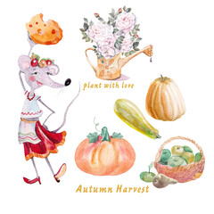 set of halloween pumpkins with mouse in ukrainian national dress, agriculture, watercolor hand drawing