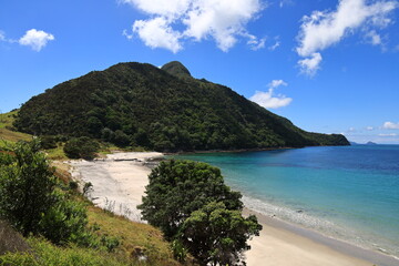 Smuggler's bay is located approximately 30 kilometres southeast of Whangārei city on the Whangārei Heads peninsula