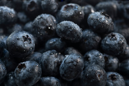 Close-up of fresh blueberries with water drops