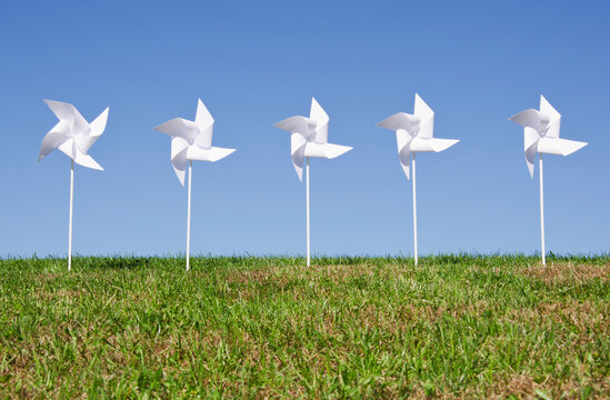 Row of white pinwheels in field