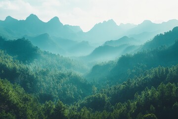 Misty mountain landscape with lush green forest and distant peaks at sunrise in a serene natural setting