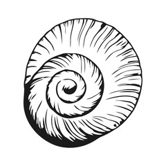 A sleek black and white vector illustration of a clam shell with an open, curved shape on a white background.