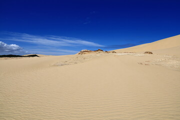 Te Paki Sand Dunes, also called the Giant Sand Dunes, are a collection of sand dunes located on the Northland Peninsula of New Zealand