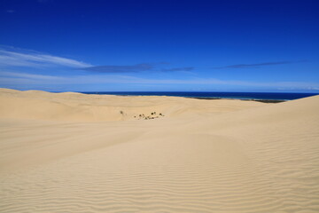 Te Paki Sand Dunes, also called the Giant Sand Dunes, are a collection of sand dunes located on the Northland Peninsula of New Zealand