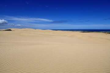 Te Paki Sand Dunes, also called the Giant Sand Dunes, are a collection of sand dunes located on the Northland Peninsula of New Zealand