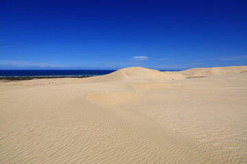 Te Paki Sand Dunes, also called the Giant Sand Dunes, are a collection of sand dunes located on the Northland Peninsula of New Zealand